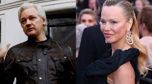 Andrew buncombe un official says treatment of assange intended to silence free speech. Pamela Anderson Pleads To Donald Trump To Pardon Wikileaks Founder Julian Assange Before He Leaves Office Entertainment News Wionews Com