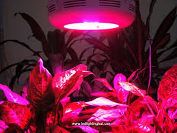 90w Full Spectrum 7 1 1 Ufo Led Grow Lights 400w Hps Mh Grow Lights Replacement