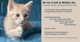 Her Fur Is Soft as Mittens, But... #PoetryFriday • Laura Purdie Salas