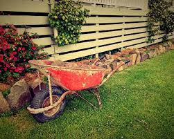 Maybe you would like to learn more about one of these? About Tucson Sod Evergreen Turf
