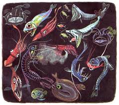 From The Deep Blue Sea By Bertha Morris Parker And Kathleen N Daly Illustrated By Tibor Gergely Little Golden Books Simon And Schuster 1958 Fische