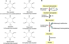 A The Structural Formulas Of Myo Inositol And Five Reported Download Scientific Diagram