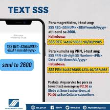 As mentioned above, a reference globe (reference surface of the earth) is a scaled down model of the earth. Here Is The Guide If It Is Your First Time To Request An Sss Prn Thru Text Text Messages How To Get Messages