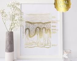 Caring for my clients, outstanding service, and results driven solutions. 54 Derma Clinic Wall Art Ideas Medical Art Anatomy Art Skin Anatomy