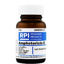 Image result for Amphotericin B
