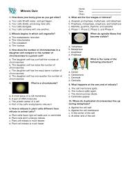 The sister chromatids are moving apart. Cellular Life And Genetics Mitosis Mitosis Cell Biology