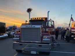 Image result for Grey 1986 Fleet