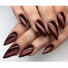 Cat Eye Nails Fall Nails Acrylic Nails Stiletto Nails Herbst Acrylnagel Kurze Acrylnagel Herbst Nagel