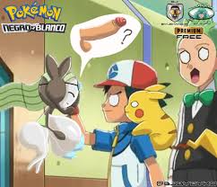 🔞🇪🇨🟪🫡The Rule 34 BJ BYJEYKO_Oficial🟪🇪🇨🔞 on X: Meloetta Pokémon Rule  34 BYJEYKO Premium👑Free Pokemon CartoonSex Meloetta PokemonSpecies  NSFW NOPOR Furry Furro shitpost R34​ Rule34 dibujodigital  hugeboobs CartoonPorn Draw ...