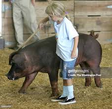 242 Mark Eaves Stock Photos, High-Res Pictures, and Images