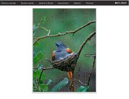 This project will allow for your class to design and create their own jigsaw puzzle! Nature Pictures National Geographic Jigsaw
