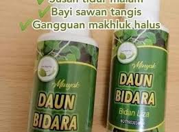 Ternyata manfaat tanaman bidara luar biasa hebat. Myk Daun Bidara Bidan Liza Beli Sell Market Place