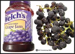 Grapes trained to grow along a fence, arbor, trellis (or any support you provide) add great interest to your garden landscape. Grape Blackberry Strawberry Huckleberry Gooseberry Photos