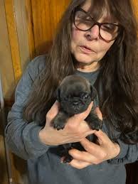 Linda wicker (@mermaids.of.30a) • Instagram photos and videos