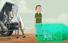Rick And Morty Creators Respond To Viral Talking Cat Fan Theory