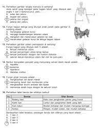 Soal un ipa sd 2019 dan kunci jawaban. Download Soal Usbn Ipa Sd 2017 Dan Kunci Jawaban Peranti Guru