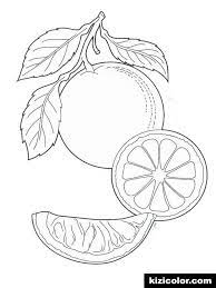 Check spelling or type a new query. Frutas De Naranja 4 Dibujos Para Colorear Y Imprimir Gratis Para Ninos