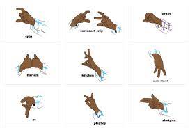 Hand crip signs step by step. Crip Gang Signs Hands Crip Signs Step By Step