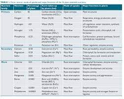 Grass needs some essential nutrients to grow. Essential Nutrients For Plants How Do Nutrients Affect Plant Growth