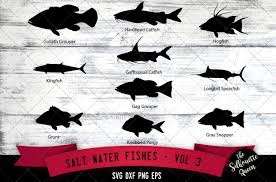 Free transparent fish vectors and icons in svg format. Salt Water Fishes Svg V3 Goliath Grouper Kingfish Grunt 281629 Illustrations Design Bundles