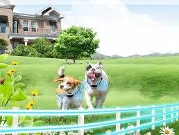 Jan 13, 2021 · however, the process of finding the right invisible dog fence just right for your needs and the safety of your specific dog can be a bit overwhelming. Top 10 Best Invisible Dog Fence To Buy In 2020 Detailed Reviews Wireless Dog Fence