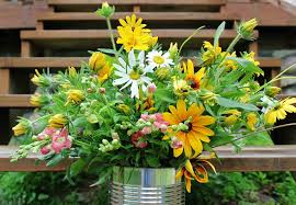 Maybe you would like to learn more about one of these? Bellaire Blooms Cut Flowers Localharvest