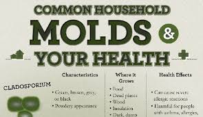 Mildew is pretty stark, as reactions to mold can include respiratory issues, heart problems, joint pain, migraines, fatigue and depression. Difference Between Black Mold And Mildew Hrf