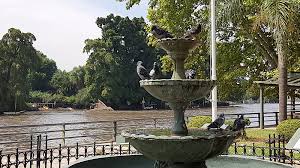 The picturesque wetlands of the tigre delta and tigre town, will leave a lasting impression. Tigre Delta Tipps Fur Den Tagestrip In Die Oase Von Buenos Aires