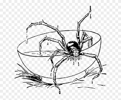 Then you can color in your spider picture with your favorite colors. Jpg Library Stock Spider In Web Drawing At Getdrawings Creepy Spider Coloring Pages Clipart 64520 Pikpng