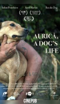AURICĂ, A DOG'S LIFE – short film online - CINEPUB