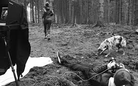 Designed to scale with your community. Toyota Financial Services Gsvi Gregor Strozik Visual Identity Gmbh