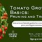 Tomato Growing Basics: Pruning & Trellising Workshop