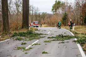 Vereinsabend im gasthaus il sole in schorndorf. Sturmtief Uber Dem Rems Murr Kreis Wetter Halt Einsatzkrafte Auf Trab Rems Murr Kreis Stuttgarter Zeitung