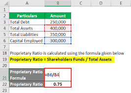Accounting Ratios Example Explanation With Excel Template