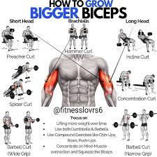1 039 Likes 3 Comments Fitness Motivation Gym Fit Union On Instagram Growing Bigger Biceps In 2020 Biceps Workout Big Biceps Workout Dumbbell Bicep Workout