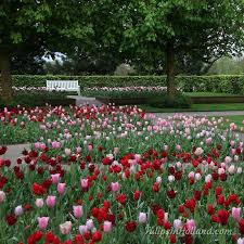 Pin Auf Jardins De Vivaces Bulbes De Printemps