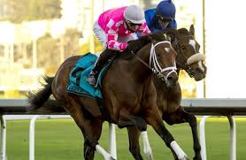 2021 preakness stakes betting analysis. Analysis 3 Early Preakness Stakes 2021 Picks