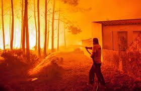 De acordo com o ministro, grande parte da estação foi destruída pelo incêndio e, com ela, muitos materiais e equipamentos dos 30 pesquisadores que realizavam trabalhos na ilha foram perdidos. Cronologia Dos Incendios Que Estao A Queimar O Pais