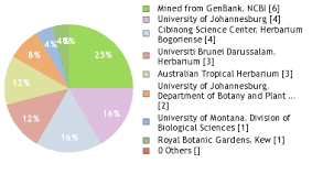 Image result for Scolopia stolzii