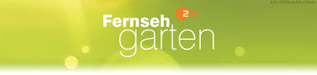 Andrea kiewel musste dieses mal vor leeren rängen moderieren. Zdf Fernsehgarten Community Fernsehserien De