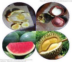 Berikut adalah rpp prakarya kelas vii materi pengolahan bahan pangan hasil samping buah kompetensi dasar 3.2 memahami rancangan pembuatan, penyajian dan pengemasan bahan hasil samping buah menjadi produk pangan yang ada di wilayah setempat, dan 4.2 mengolah, menyaji. Bab Vi Pengolahan Bahan Pangan Hasil Samping Buah Menjadi Produk Pangan Prakarya Kelas 7 Smp Mts