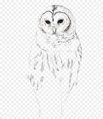 Maybe you would like to learn more about one of these? Burung Hantu Paruh Burung Gambar Png