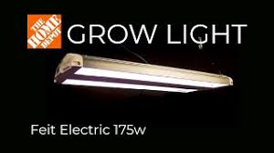 Maybe you would like to learn more about one of these? Home Depot Grow Light Review Feit Electric 175w Led Grow Light Youtube