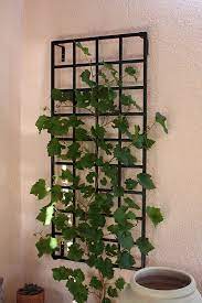 Let keith gans create a work of yard art you'll enjoy looking at day after day! Small Modern Wall Trellis Made Of Steel Galvanised And Powder Coated