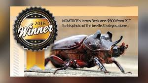 5 star termite and pest control tucson •. Arrow Exterminators Acquires 5 Star Termite Pest Control Pct Pest Control Technology