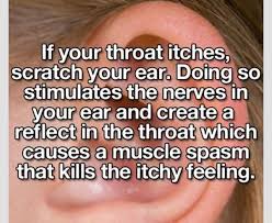 What To Do When Your Throat Itches Useful Life Hacks Simple Life Hacks Hacks