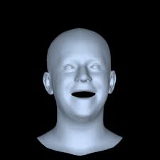 MMHead: Towards Fine-grained Multi-modal 3D Facial Animation