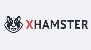 How to install apk file. Xhamstervideodownloader Apk For Windows 8 1 Download Free