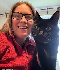 Call the purr-lice! Woman reveals her thieving cat is stealing random items  from their neighbours during night-time jaunts