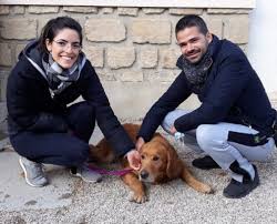 Le refuge de villevaudé, mais ils vont appelez la fourrière mais cela peut être une solution, pose leurs la question, et tiens nous au courant. Archives Des Refuge De Villevaude Fondation Assistance Aux Animaux Actualites